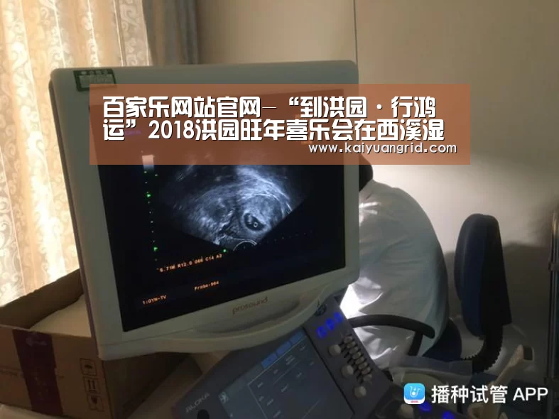 百家乐网站直播