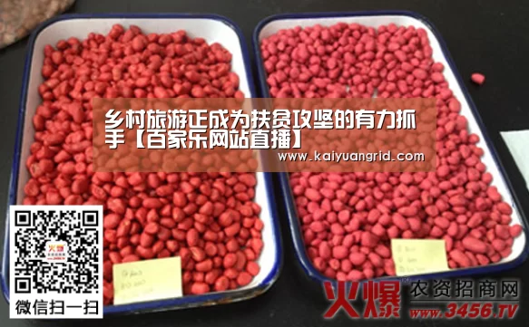 百家乐网站官网