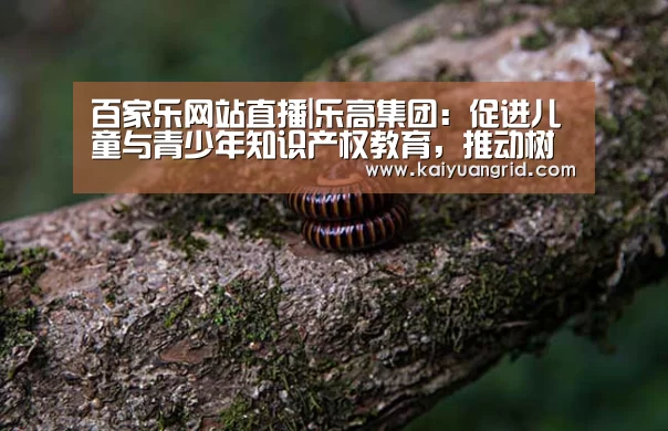 百家乐网站直播