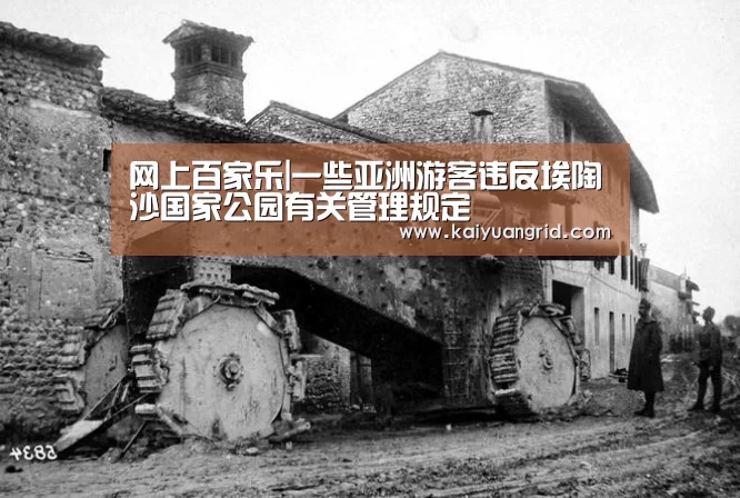 网上百家乐