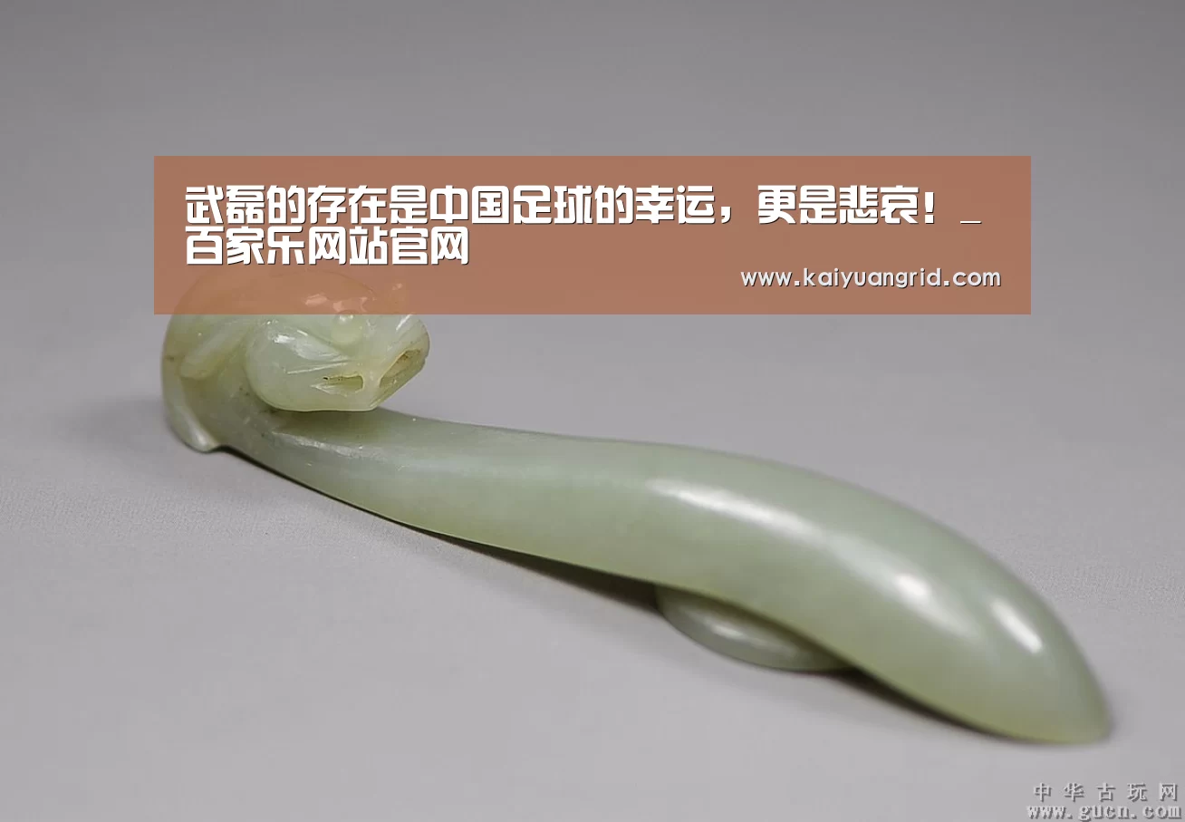 武磊的存在是中国足球的幸运,更是悲哀!_百家乐网站官网(图3) 百家乐网站官网