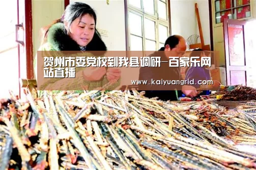 百家乐网站直播