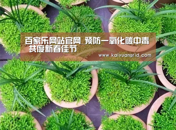 百家乐网站直播